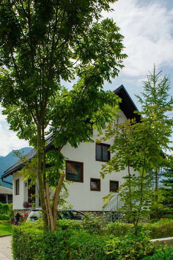 Apartment Mlakar ボーヒニ エクステリア 写真